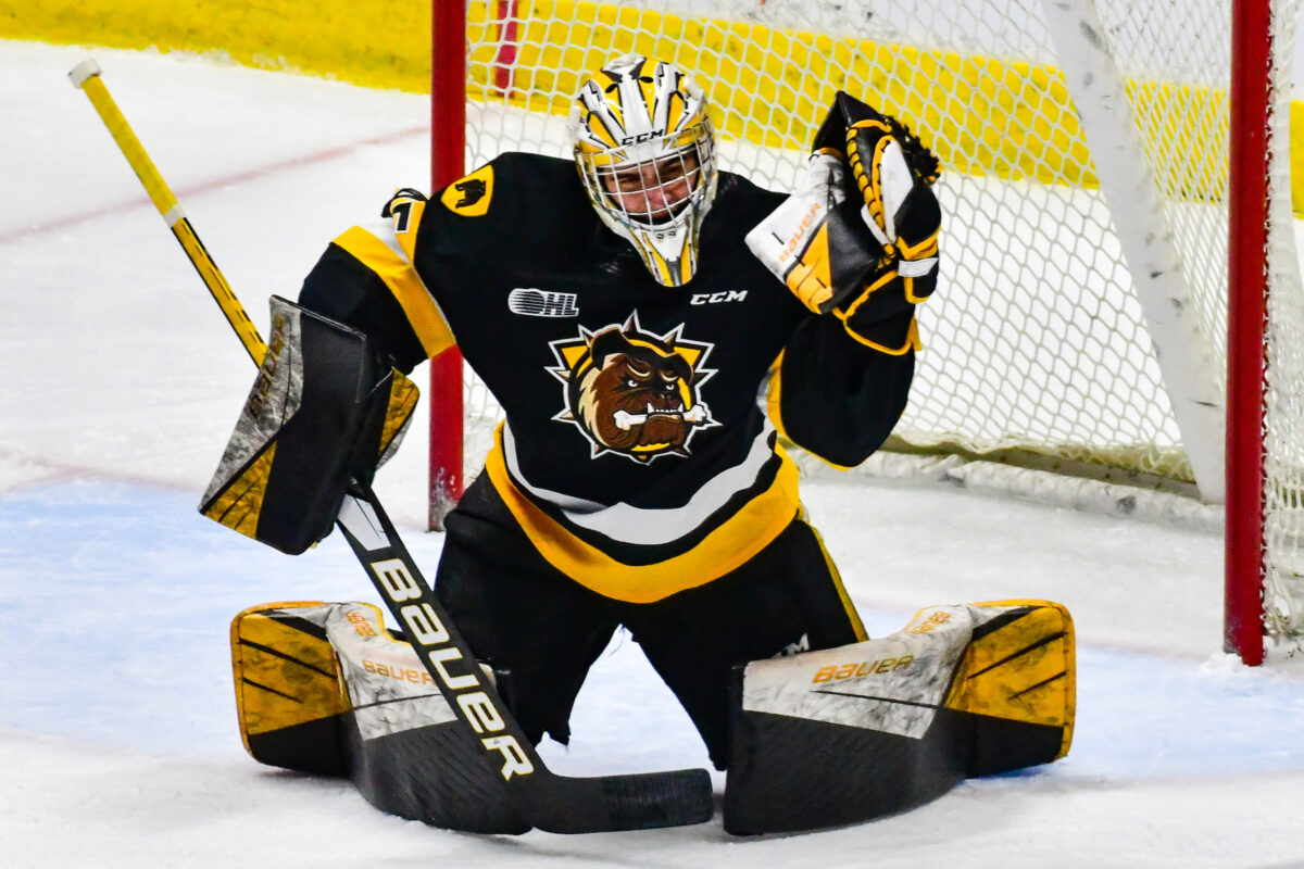 Matteo Drobac Brantford Bulldogs