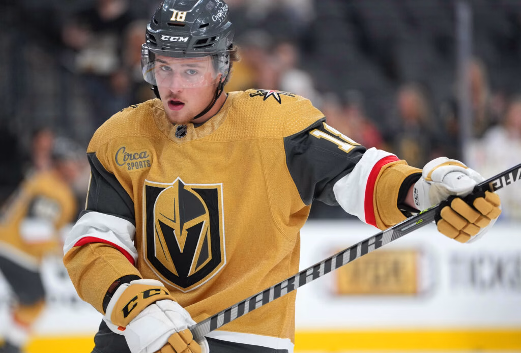Blues' Zach Dean Enters NHL/NHLPA Player Assistance Program
